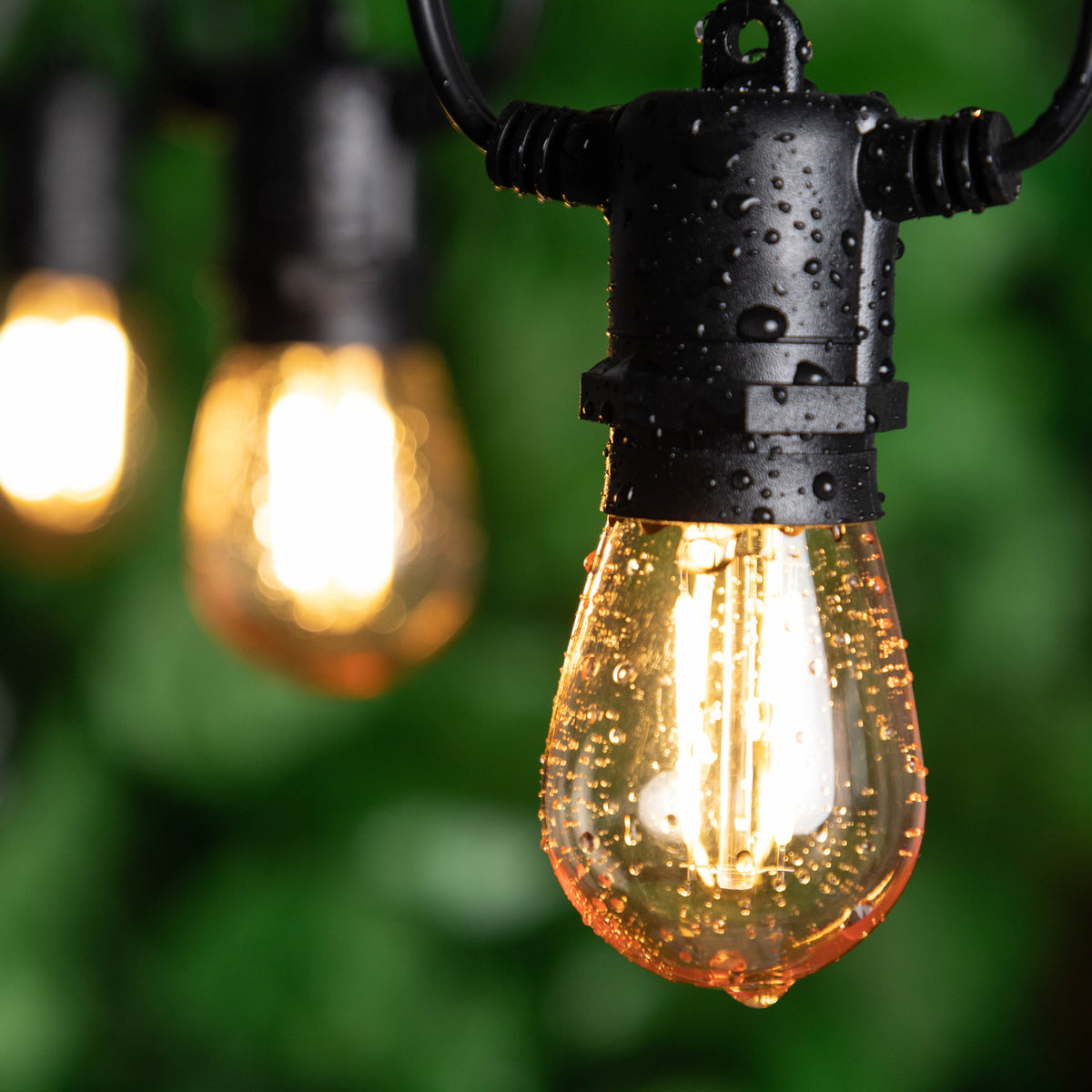 Tira de 10 Focos LED 5M