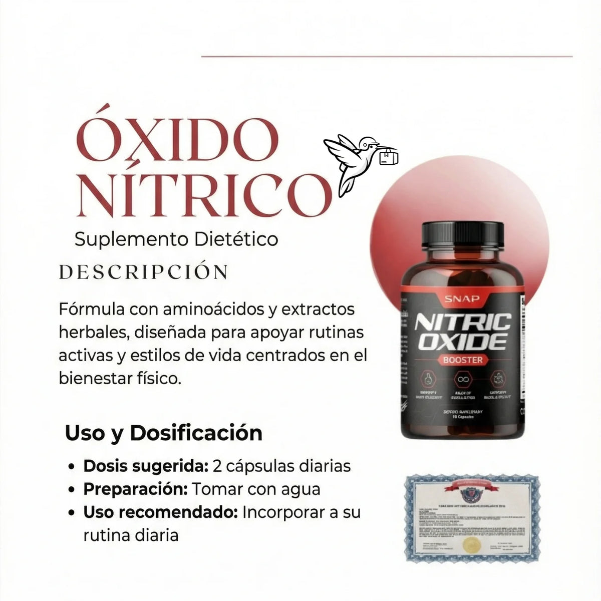 ÓXIDO NÍTRICO x60 – Fórmula Pre-Workout para Rutinas Intensas