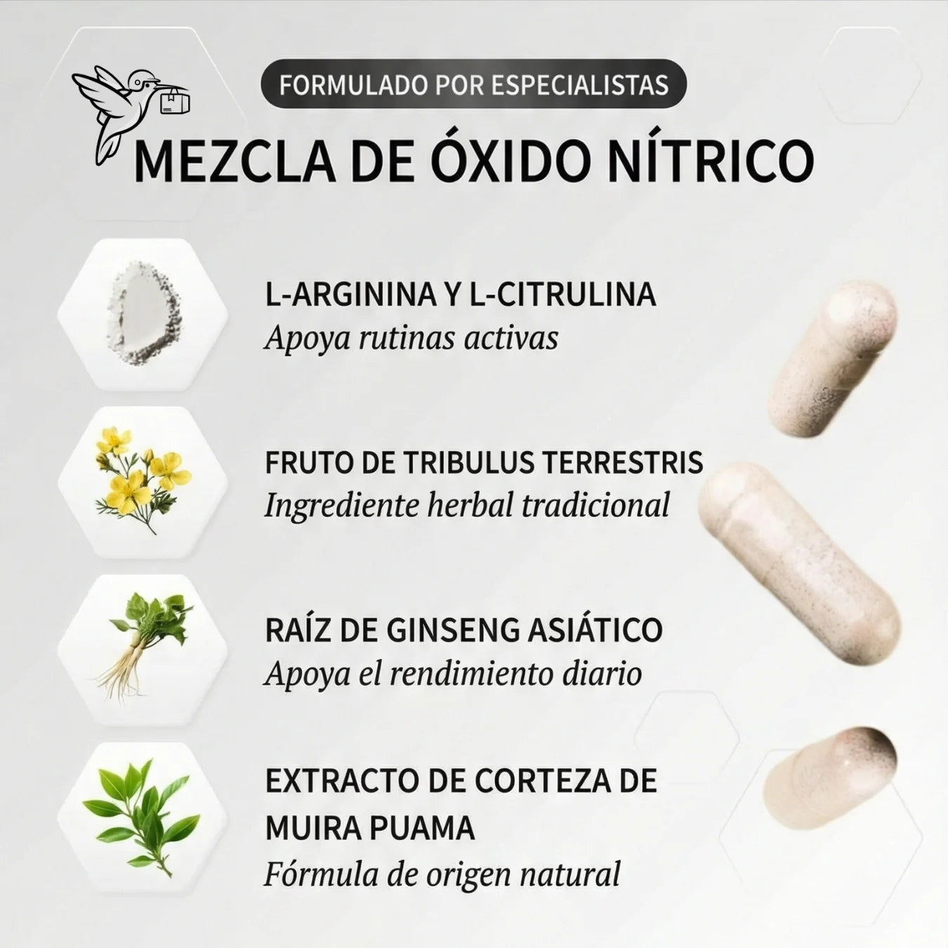 ÓXIDO NÍTRICO x60 – Fórmula Pre-Workout para Rutinas Intensas