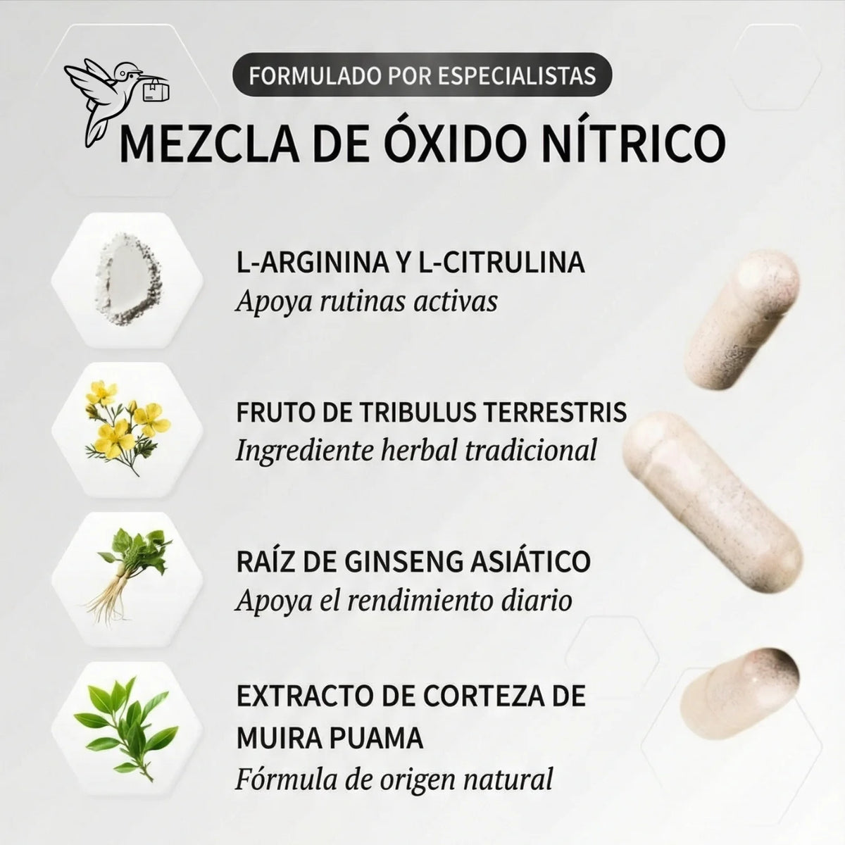 ÓXIDO NÍTRICO x60 – Fórmula Pre-Workout para Rutinas Intensas