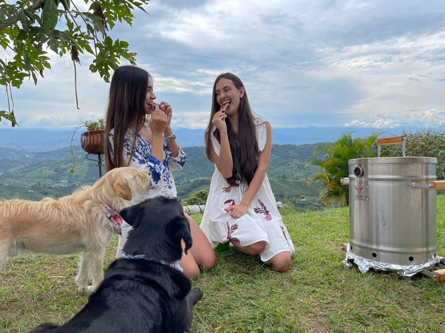 BARRIL ASADOR MEDIANO ESTILO PROFESIONAL