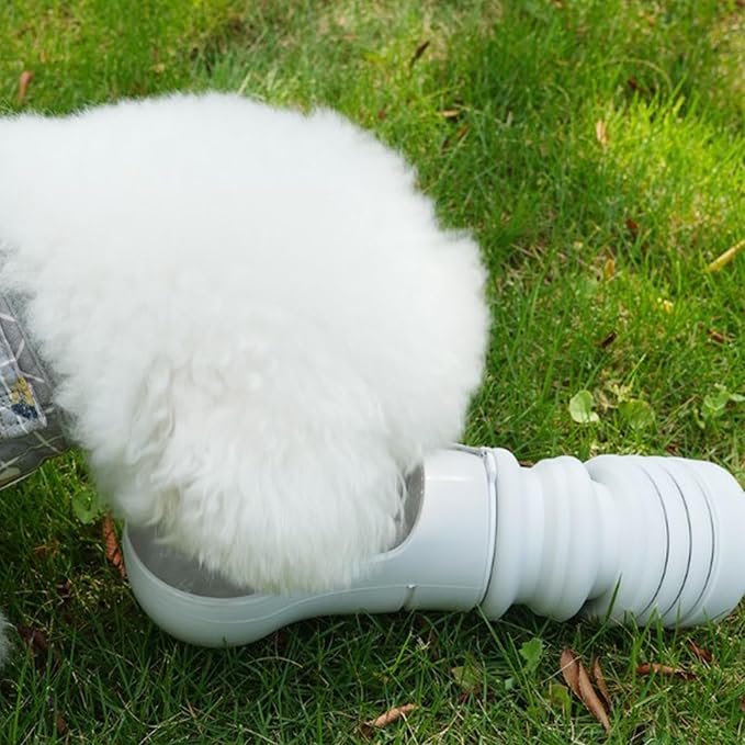 Botella de Agua Portátil para Mascotas 550 ml | Hidratación Fácil en Cada Paseo