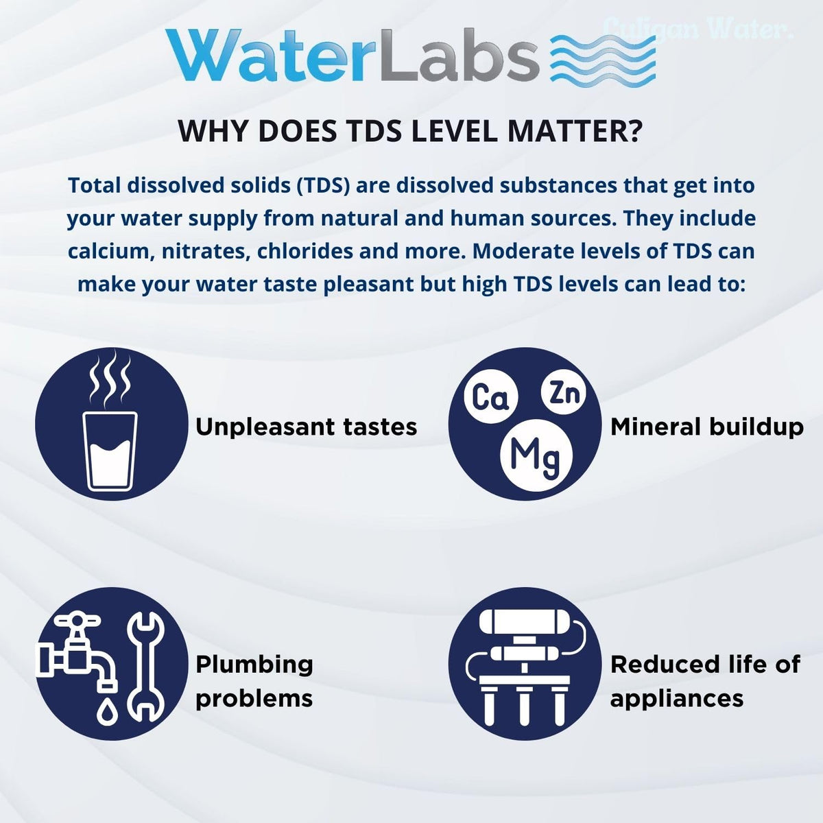 Medidor Digital de Calidad de Agua 3 en 1 (TDS, EC y Temperatura)