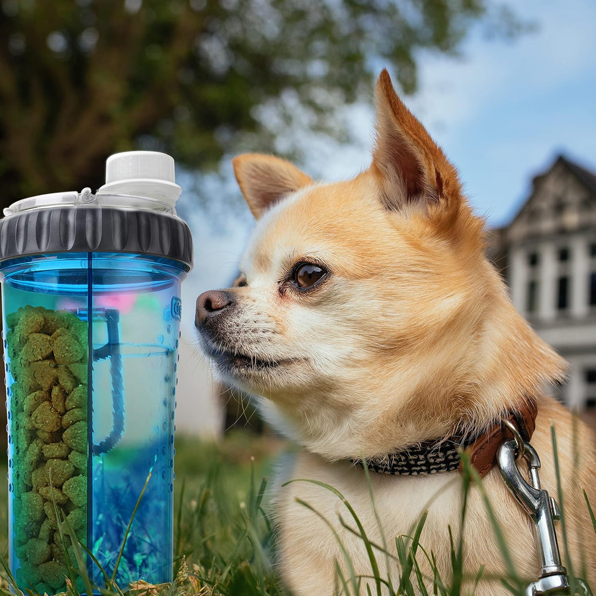 Botella Snack-Duo para Mascotas