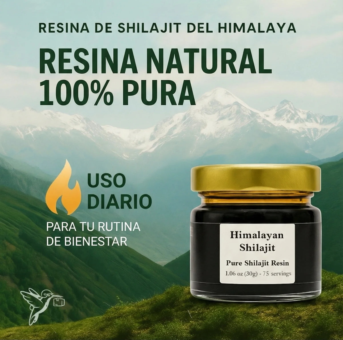 Shilajit Puro del Himalaya – Resina Natural (30g)
