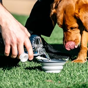 Botella Snack-Duo para Mascotas