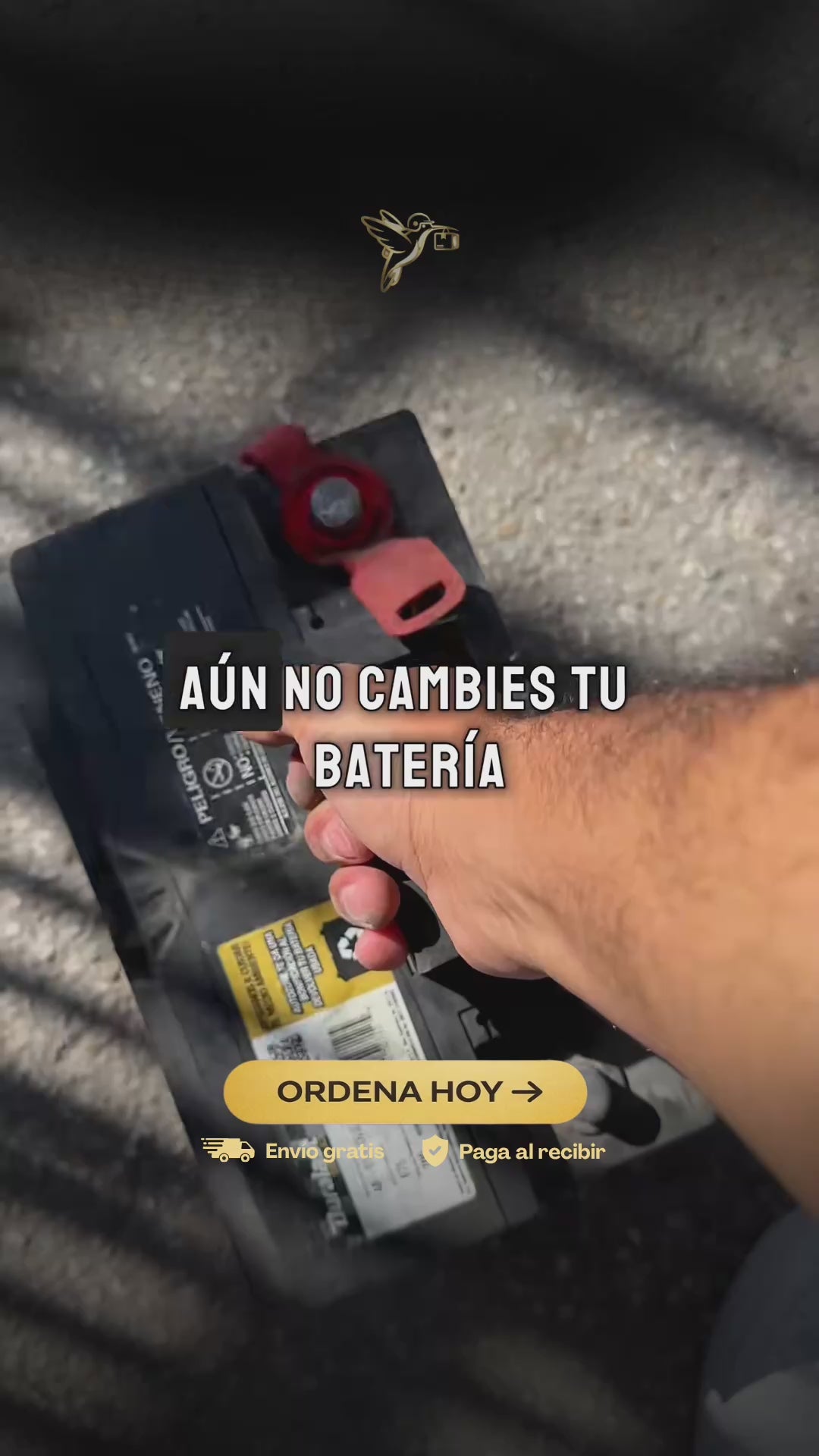 Cargador de Baterías 12V con Pantalla LCD | Carga Segura y Automática