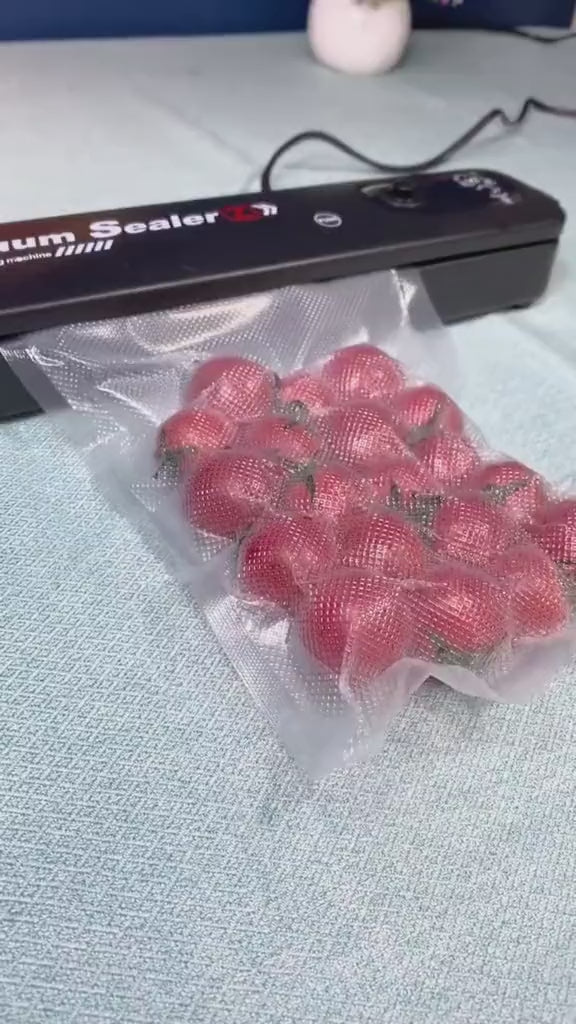 SELLADOR AL VACIO - INCLUYE 10 BOLSAS